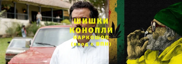 гидра Вязьма