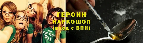гидра Вязьма
