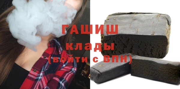 гидра Вязьма