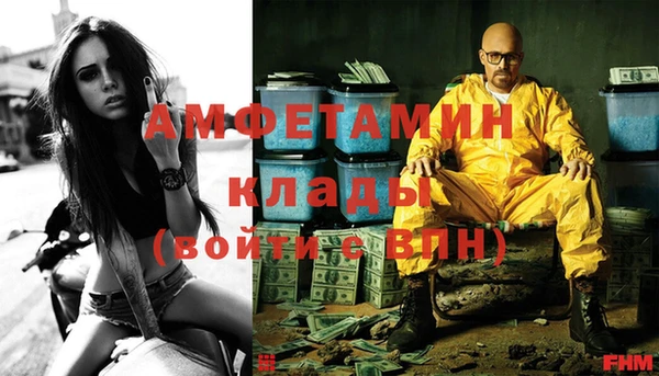 гидра Вязьма
