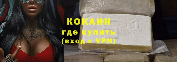 шишки Вяземский