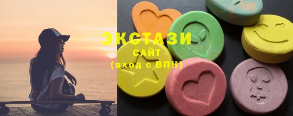 гидра Вязьма