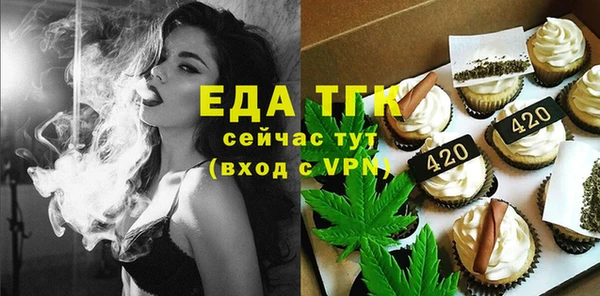 гидра Вязьма