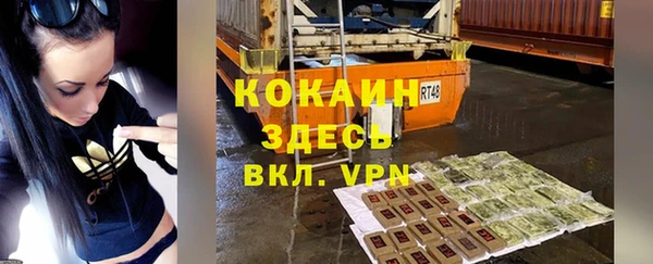 шишки Вяземский