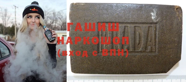 гидра Вязьма