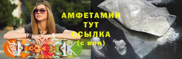 гидра Вязьма