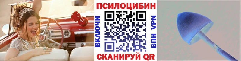 OMG как войти  Гусиноозёрск  Галлюциногенные грибы Magic Shrooms  как найти закладки 